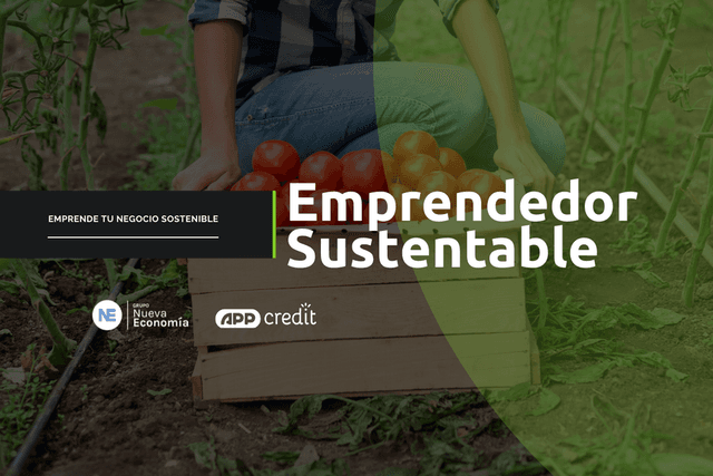 Emprendedor sustentable