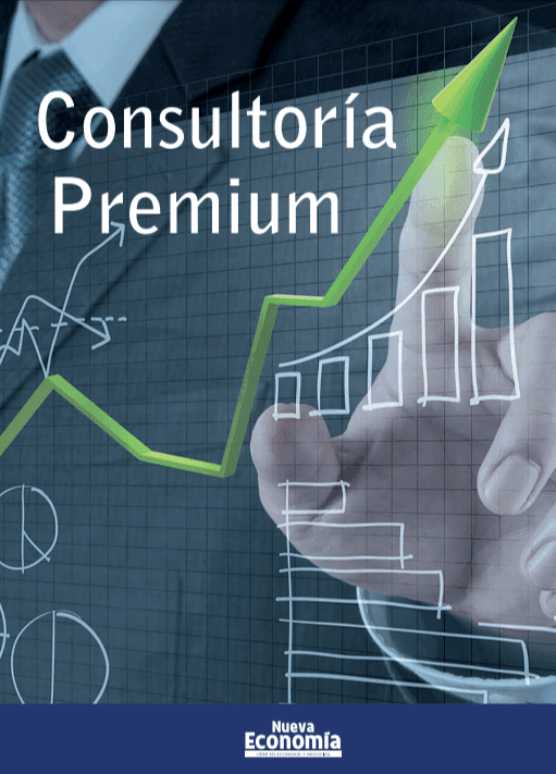 Portada de SEPARATA - CONSULTORIA PREMIUM
