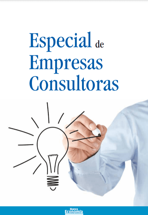 Portada de SEPARATA - EMPRESAS CONSULTORAS