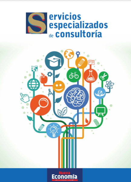 Portada de SEPARATA - SERVICIOS ESPECIALIZADOS DE CONSULTORIA