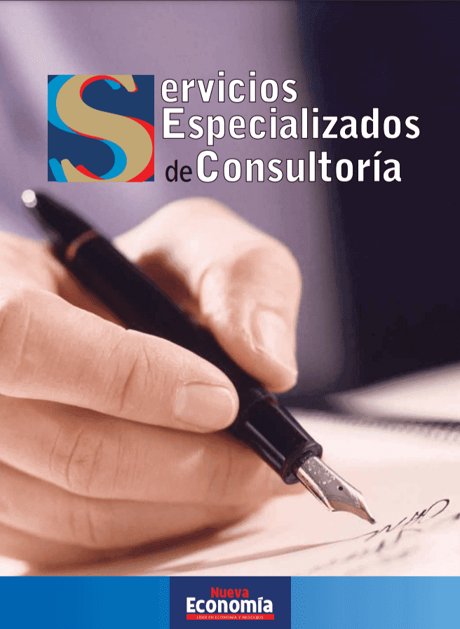 Portada de SEPARATAS - SERVICIOS ESPECIALIZADOS DE CONSULTORÍA