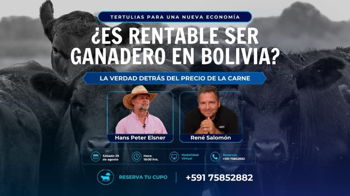 Es rentable ser Ganadero en Bolivia?