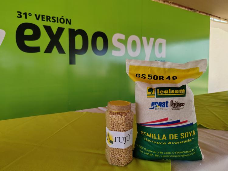 Dos nuevas variedades de soya se suman a la oferta nacional y muestran la innovación del sector privado