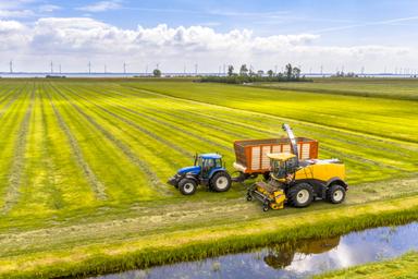 Unión Europea: Los 27 respaldan la edición genómica de cultivos para lograr cosechas más resistentes y reducir pesticidas