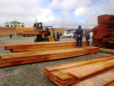 Exportaciones forestales registraron un aumento del 11,3% y reflejan la resiliencia del sector