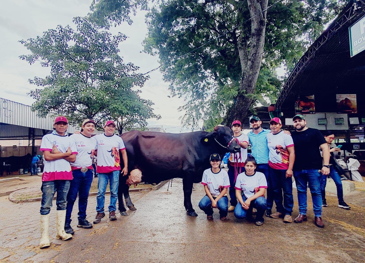 Ivanete FIV Zamboni es la gran campeona del concurso de producción lechera de Agropecruz 2025