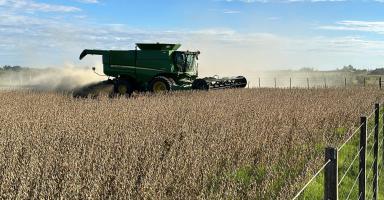 El Gobierno boliviano reactiva la exportación de soya, pero pone un límite de 250.000 toneladas