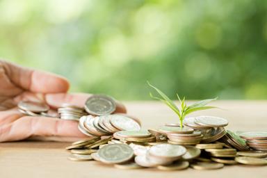 Finanzas sostenibles: cuatro estrategias para ahorrar y proteger el planeta