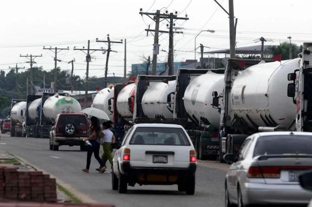 Anapo alerta que está en riesgo la siembra más importante  del pais, debido al desabastecimiento de diésel