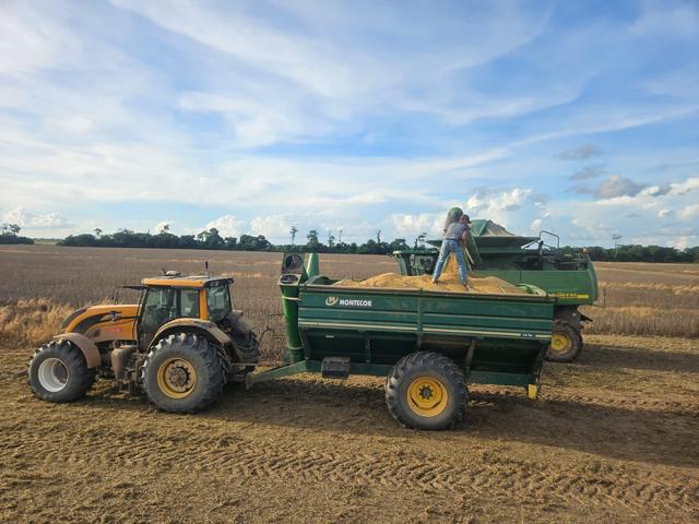 Gobierno libera 880 mil toneladas de grano de soya para  exportación, pero productores esperan una apertura total