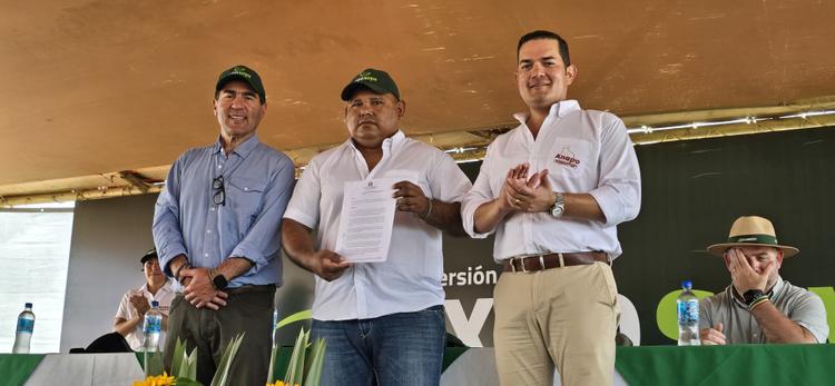 Imagen de portada: Con la liberación de la soya HB4, Bolivia da paso tecnológico  para ubicar al país entre los mayores productores del mundo 