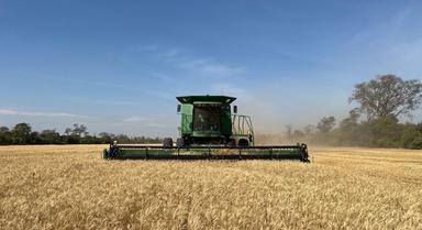 Anapo advierte que la falta de diésel pone  en riesgo la seguridad alimentaria del país