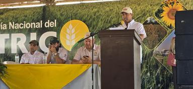 Día Nacional del Trigo plantea agenda para recuperar la  producción nacional y fortalecer la seguridad alimentaria