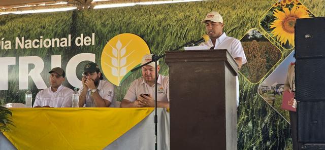 Día Nacional del Trigo plantea agenda para recuperar la  producción nacional y fortalecer la seguridad alimentaria