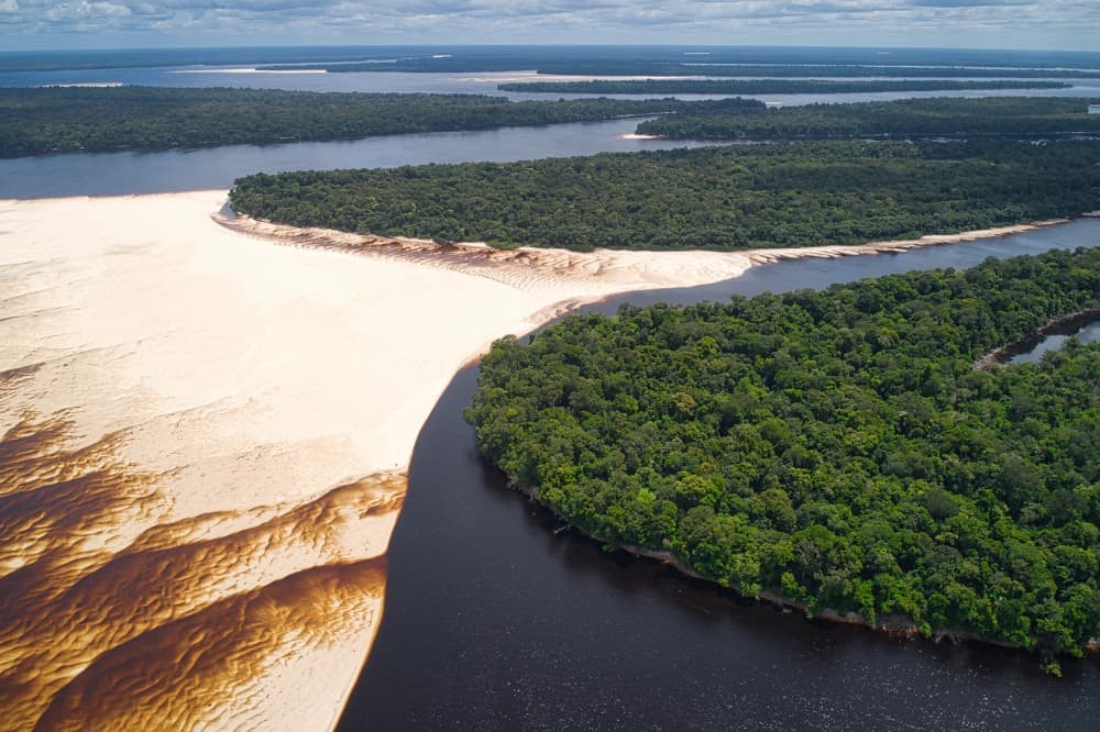 La nueva bioeconomía amazónica debe transformar biodiversidad, bosques y ríos en productos y servicios con mercado