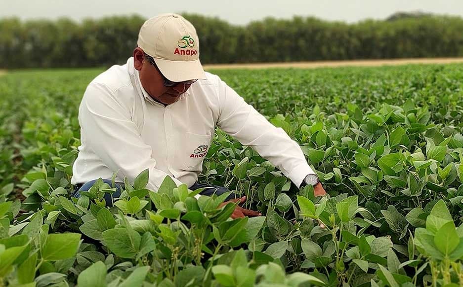 Anapo organiza en Santa Cruz el primer Congreso Internacional de Agricultura Sostenible
