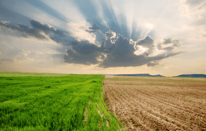 EL APOYO A LA ACCIÓN CLIMÁTICA