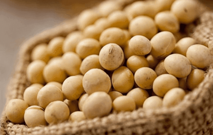 Soya, maíz, sorgo, girasol, trigo y chía aumentaron en 15%