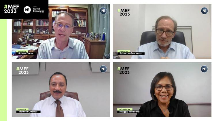 ¿Cómo lo ilícito afecta la transición hacia el desarrollo sostenible? #MEF2023