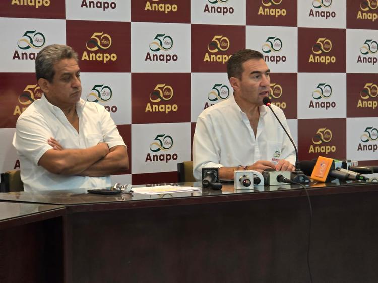 Con 800 mil toneladas menos de producción que en 2023, la soya enfrenta su peor crisis de los últimos 30 años