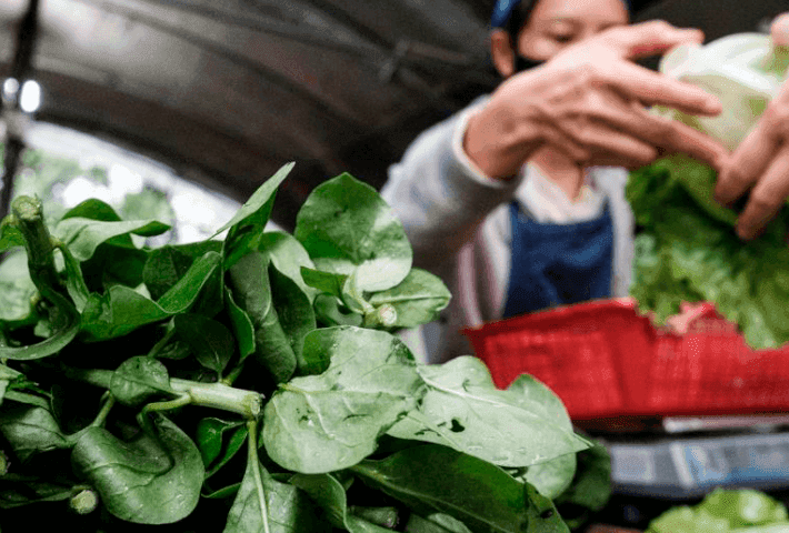 CALIDAD ALIMENTICIA Y NORMAS SANITARIAS