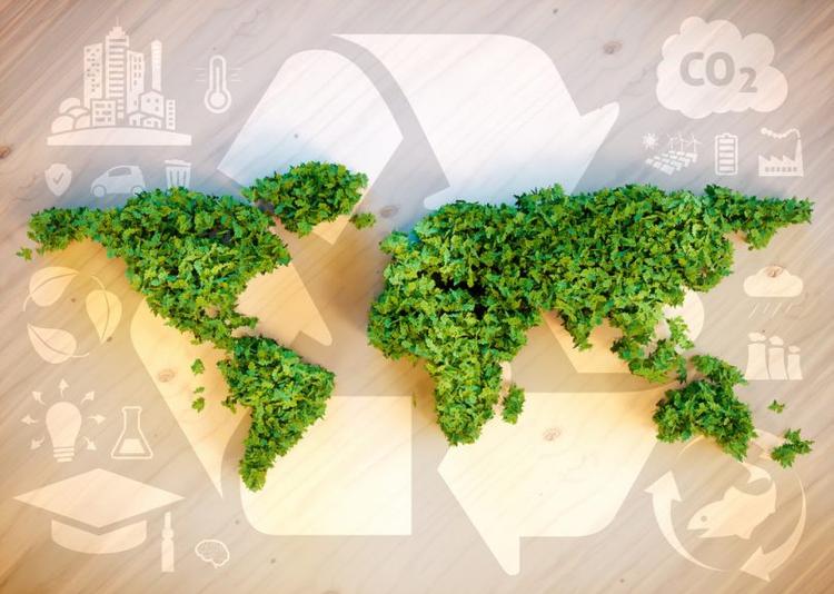 BIOECONOMÍA, UNA REFORMULACIÓN AL PAPEL DE LA AGRICULTURA