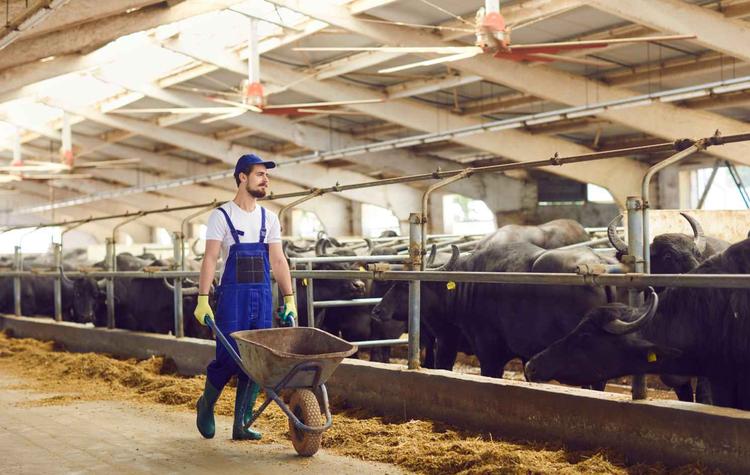 Producción golpeada por el contrabando