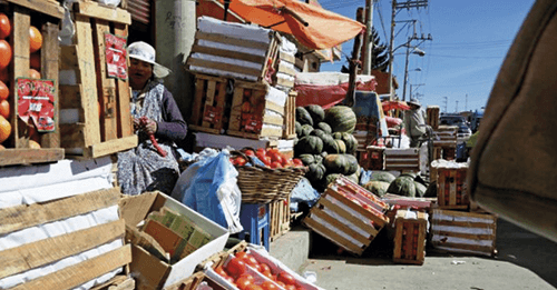 ECONOMÍA BOLIVIANA SE CONTRAERÁ EN 6,2