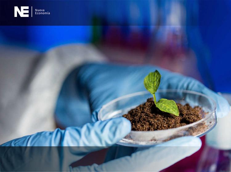 PRODUCTORES PIDEN URGENTE LA BIOTECNOLOGÍA