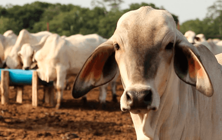 Necesaria reactivación agrícola
