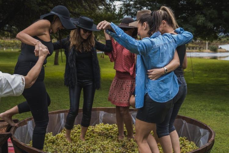 Singani Casa Real; celebra la Vendimia con un recorrido lleno de experienci