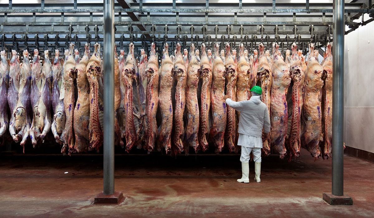 Contrabando, la problemática advertida por el sector ganadero en medio del freno a la exportación de carne