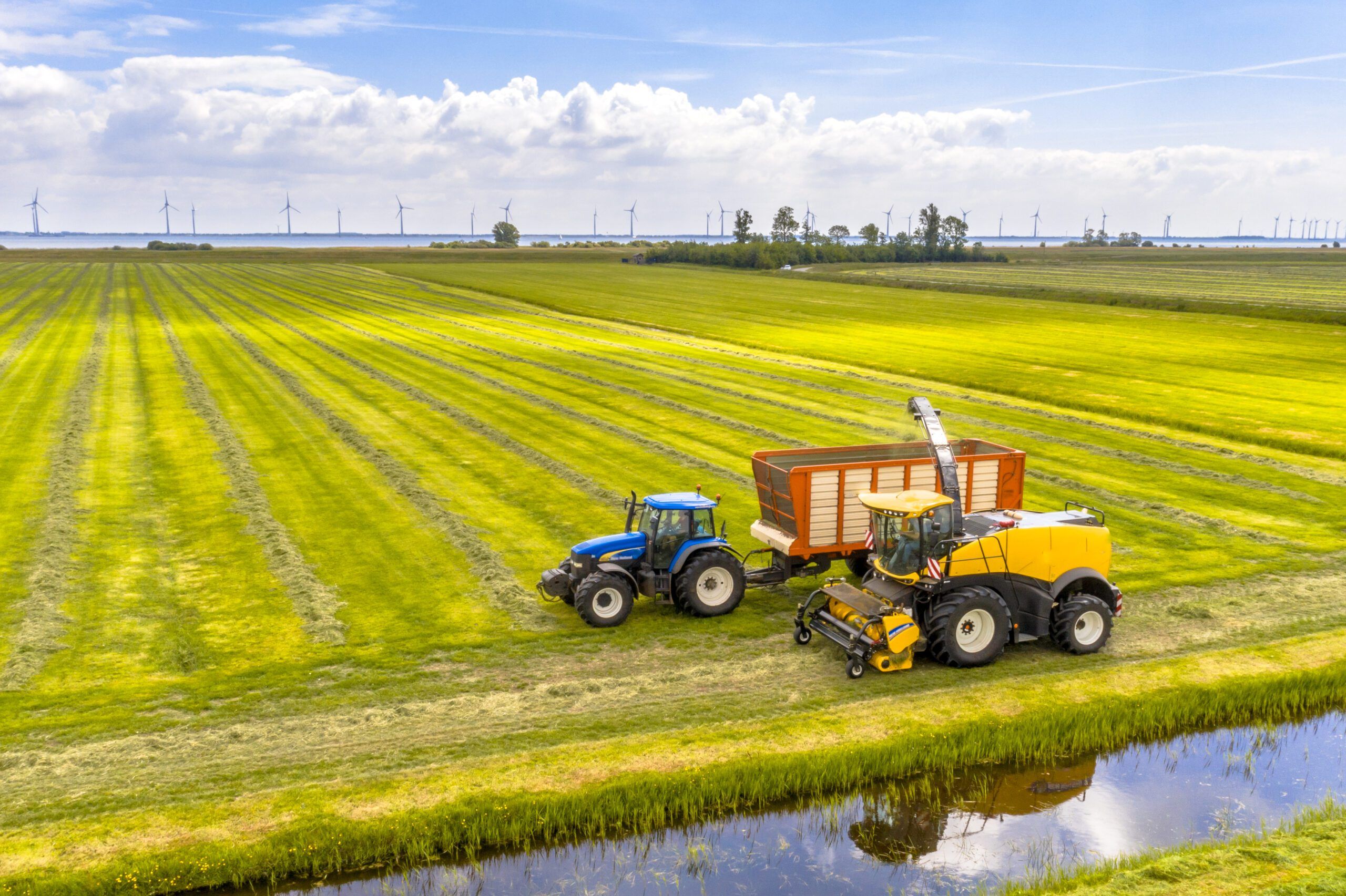 Unión Europea: Los 27 respaldan la edición genómica de cultivos para lograr cosechas más resistentes y reducir pesticidas