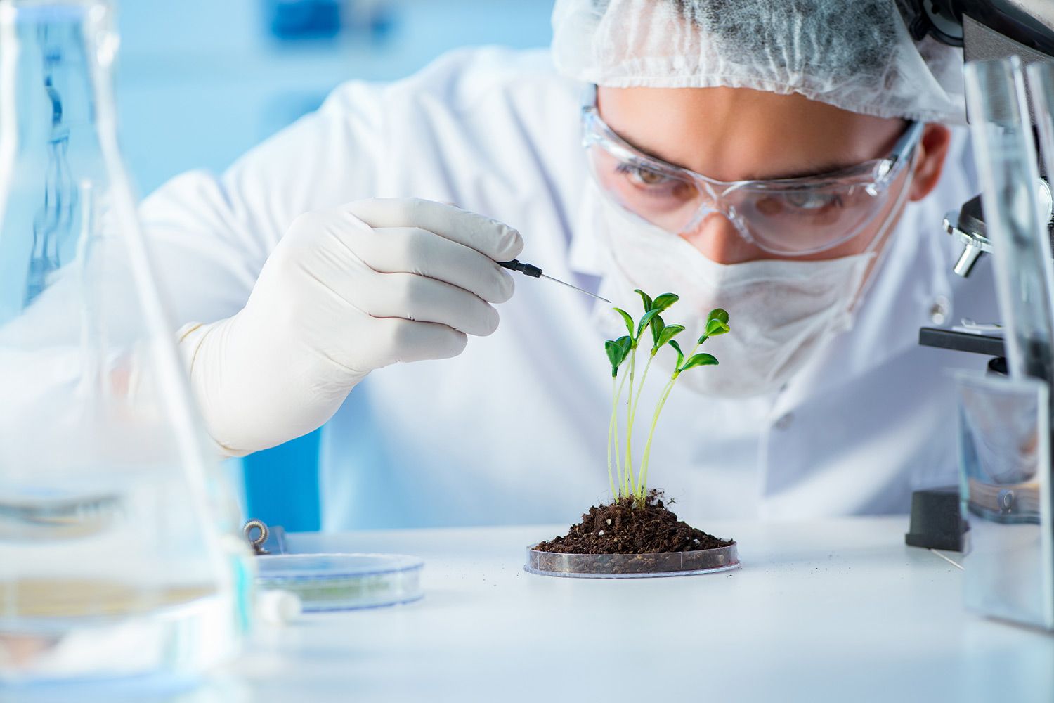 Bolivia 2050, la hoja de ruta que propone Nueva Economía hacia un futuro regenerativo, innovador y competitivo