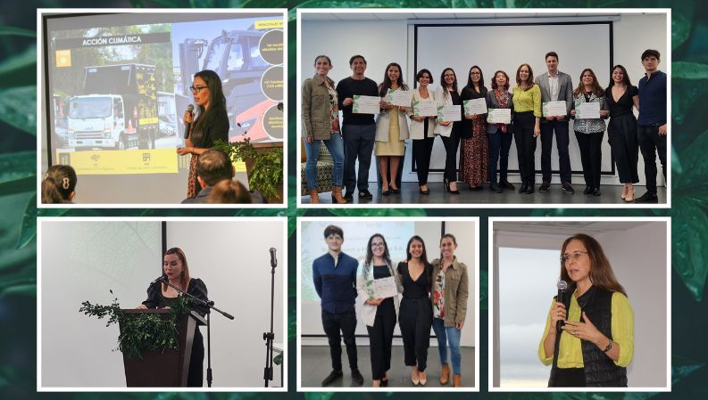 Cultura verde: Un festival sostenible y transformador