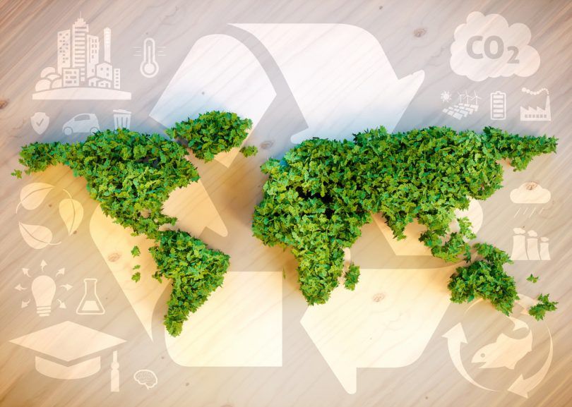 BIOECONOMÍA, UNA REFORMULACIÓN AL PAPEL DE LA AGRICULTURA