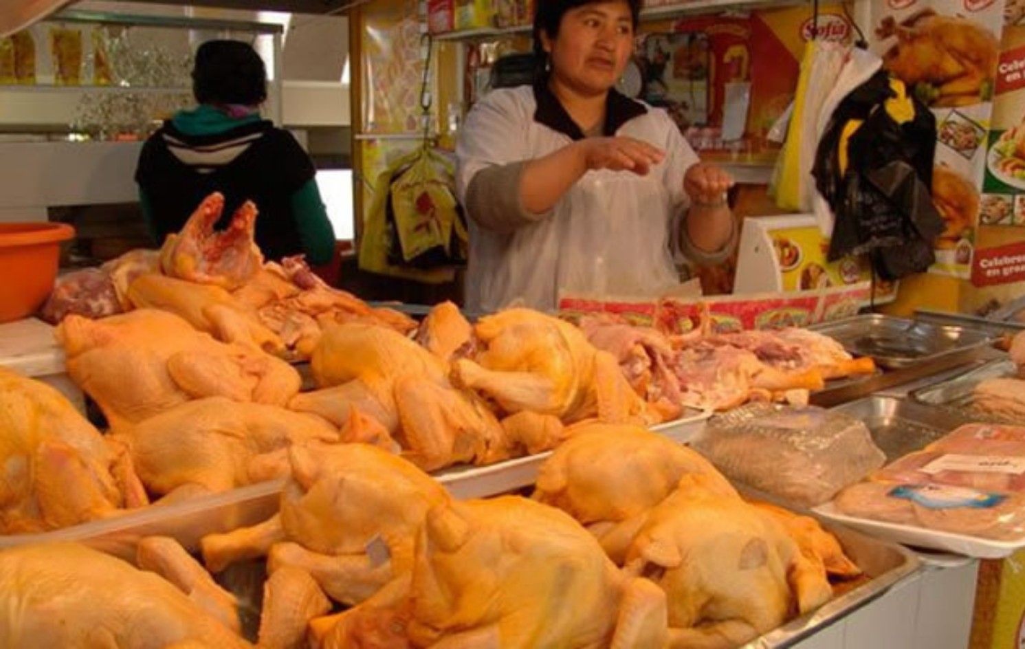 Existirá desabastecimiento de carne de pollo y huevo