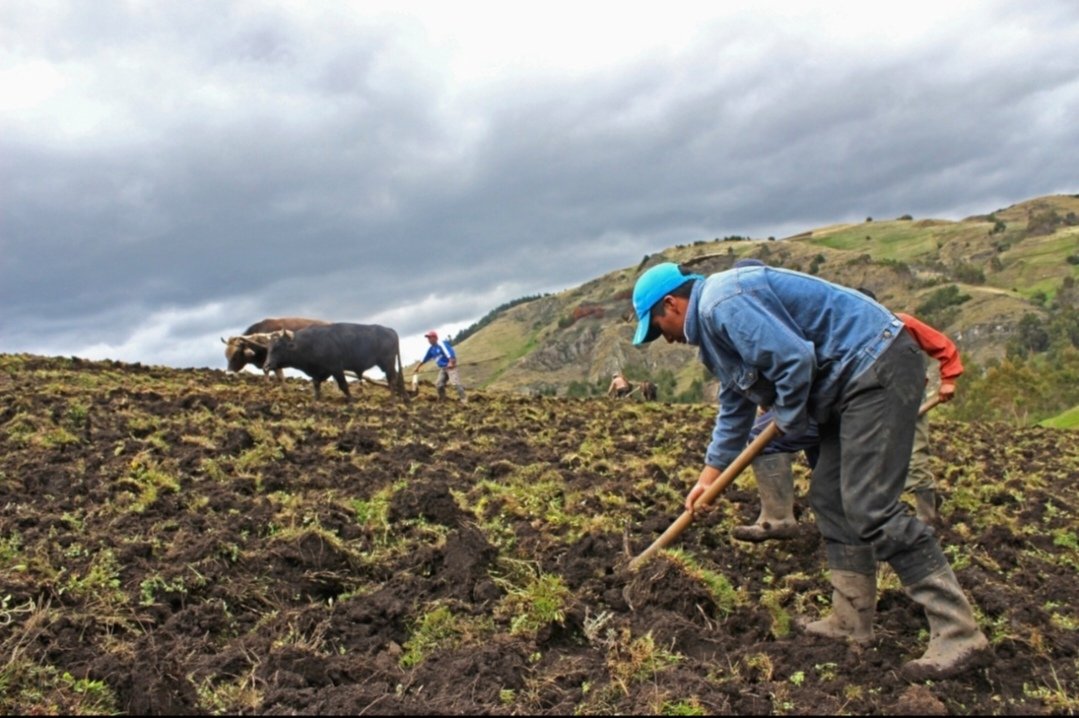 CAF invertirá $us 8.500 millones hasta 2030 para impulsar la prosperidad agropecuaria en América Latina