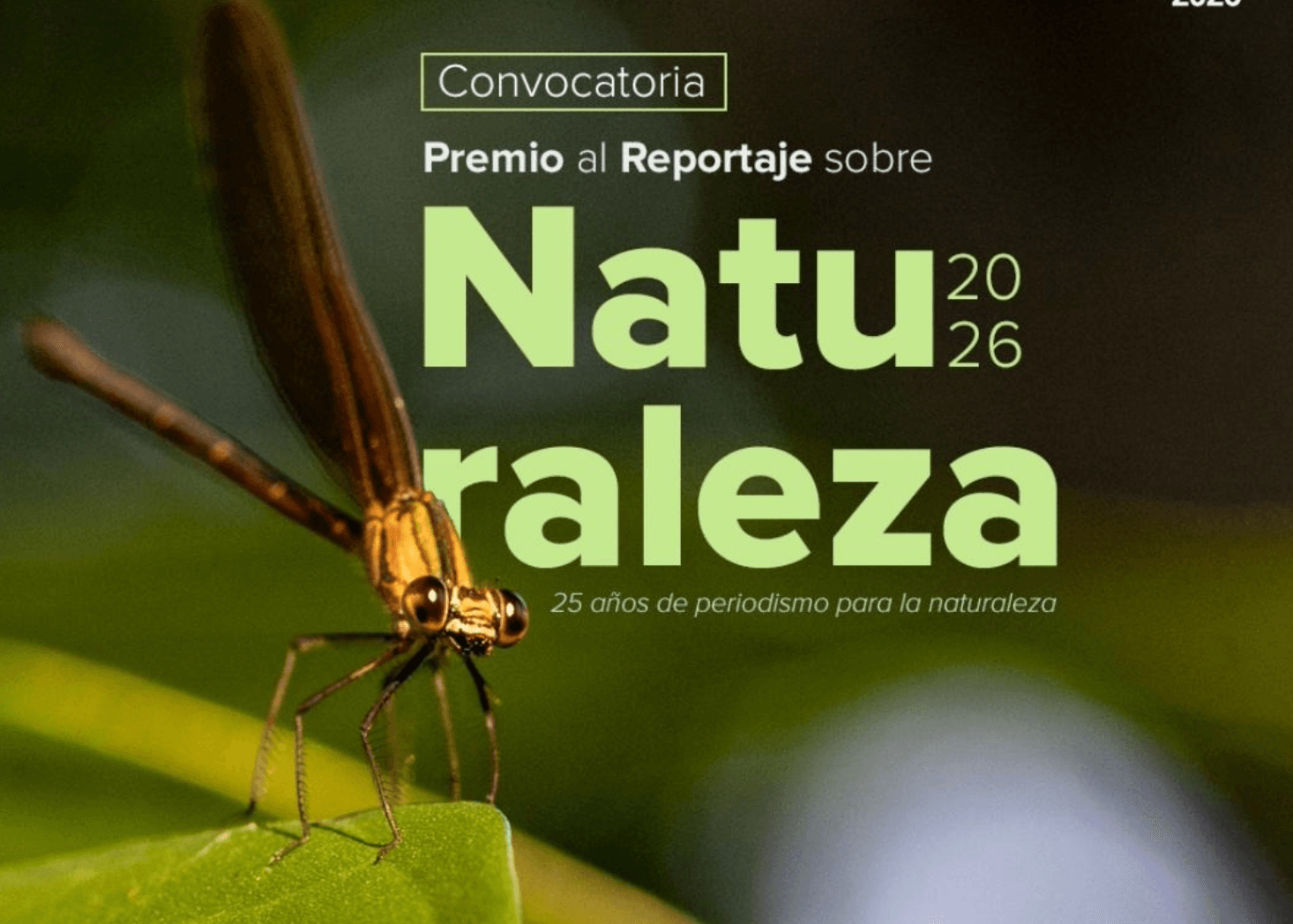 El Premio al Reportaje sobre Naturaleza celebra 25 años impulsando el periodismo ambiental en Bolivia