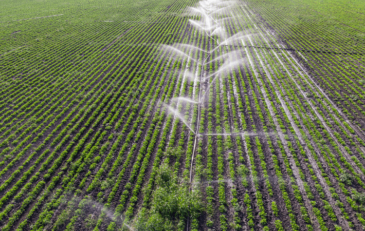 EL AGUA, UN PUNTAL DE CRECIMIENTO ECONÓMICO