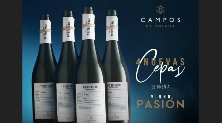 Línea Vinnopasión de Campos de Solana