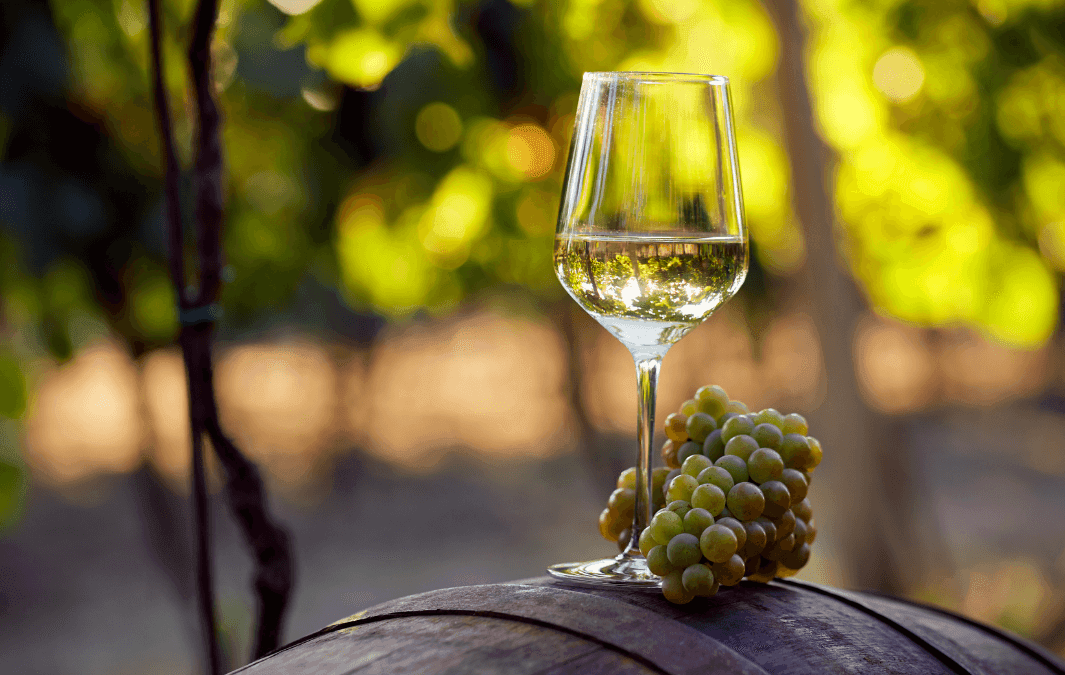 LA LLEGADA DEL VINO Y DEL SINGANI A BOLIVIA