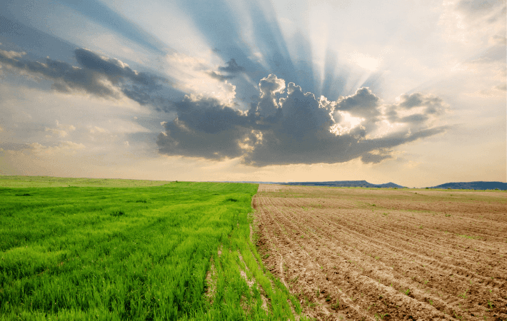 EL APOYO A LA ACCIÓN CLIMÁTICA