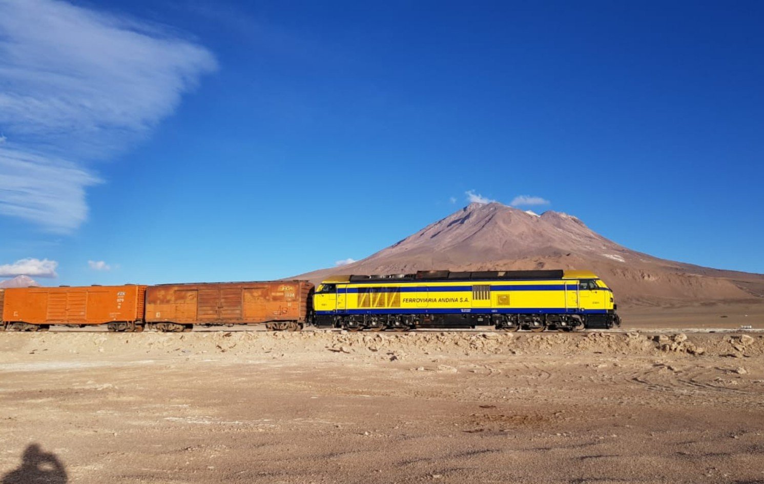 Ferroviaria Andina transportó minerales y abasteció alimentos e insumos