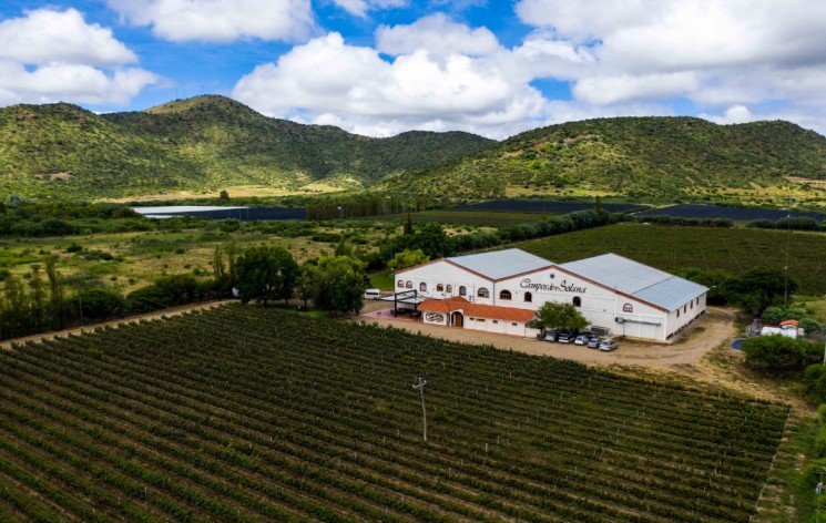 MARSELAN, UN PRODUCTO NACIDO DE LA INNOVACIÓN DE CAMPOS DE SOLANA