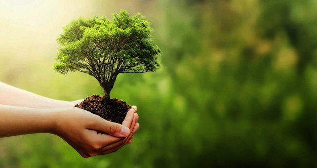 Declaración Bienvenida al ISSB por parte de inversionistas de LATAM