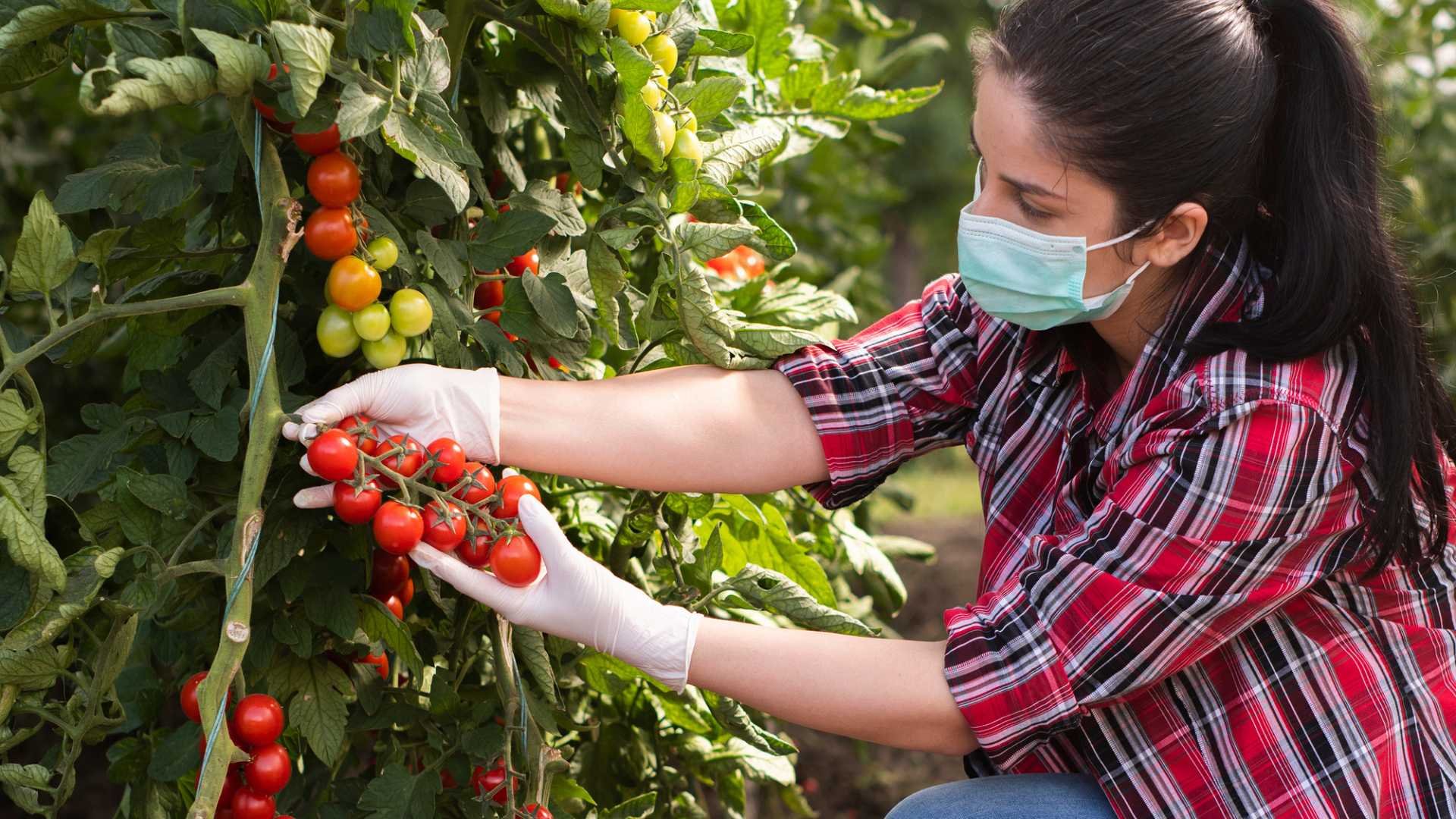Anapo condena toma de tierras