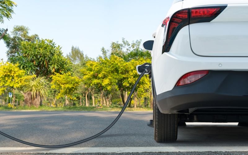 Vehículos verdes y el cuidado del medio ambiente