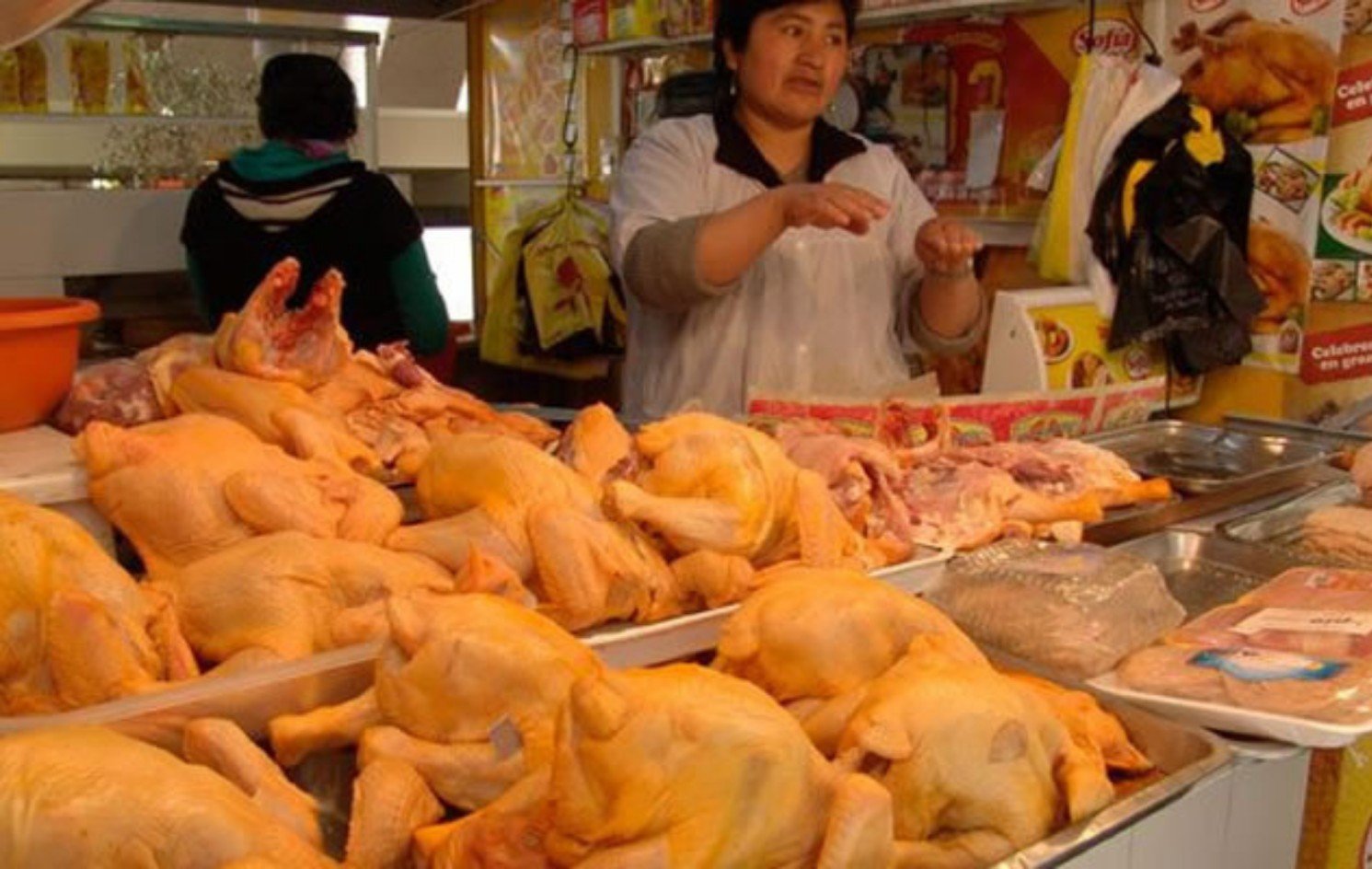 Existirá desabastecimiento de carne de pollo y huevo