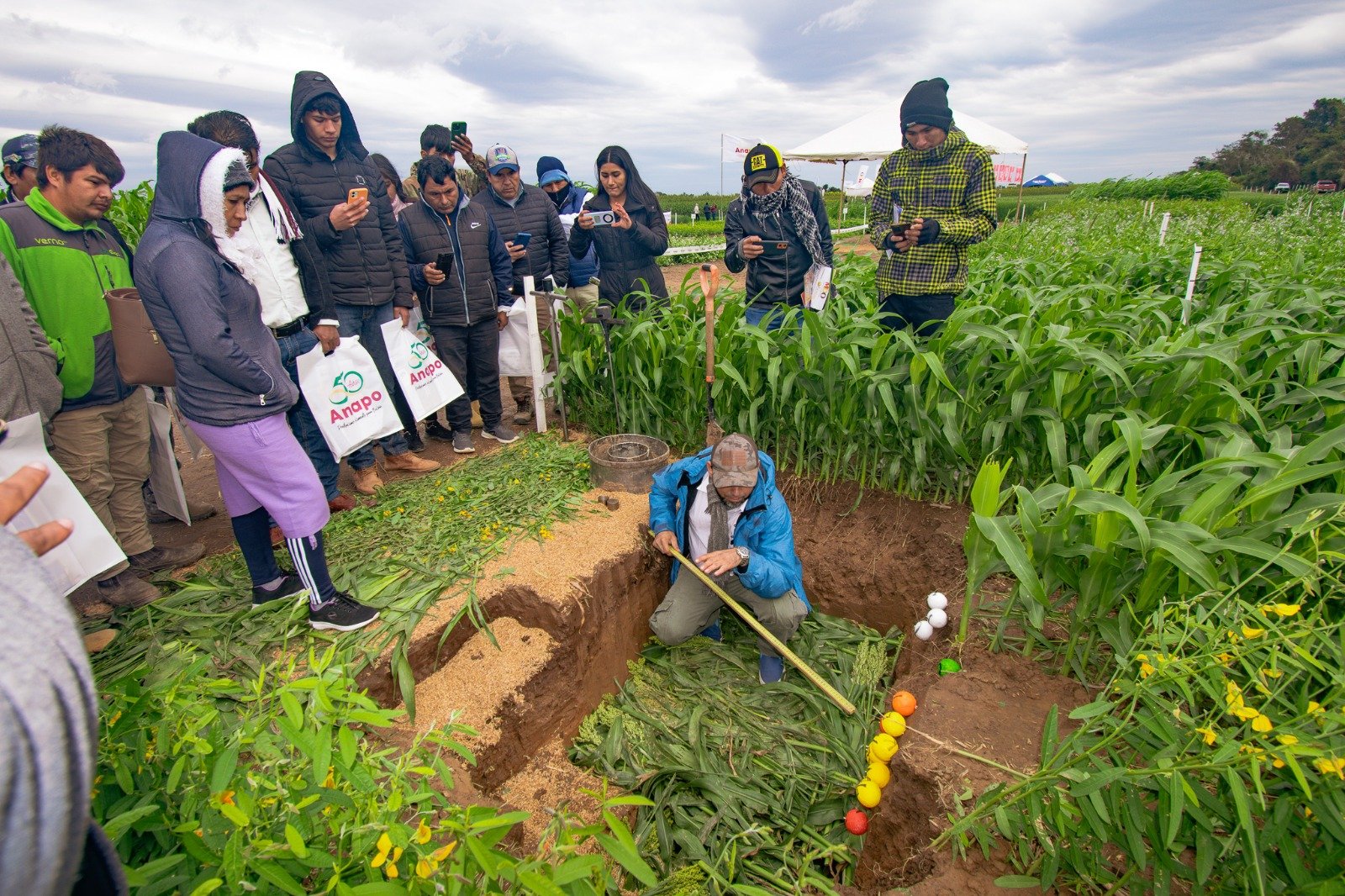 Hacia el Día Nacional de la Agricultura Sostenible,  ANAPO promueve prácticas que protegen el suelo